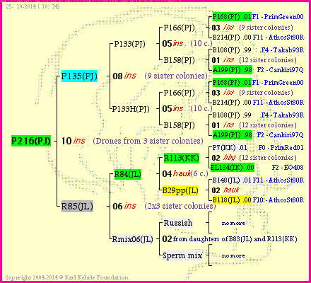 Pedigree of P216(PJ) :
four generations presented