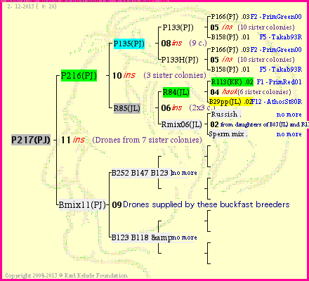 Pedigree of P217(PJ) :
four generations presented