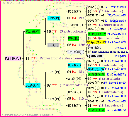 Pedigree of P219(PJ) :
four generations presented