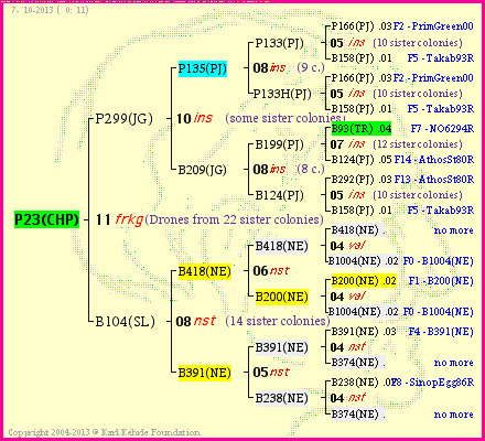 Pedigree of P23(CHP) :
four generations presented