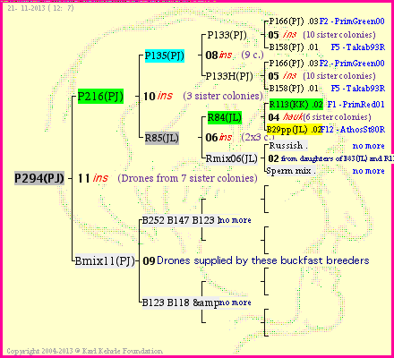 Pedigree of P294(PJ) :
four generations presented