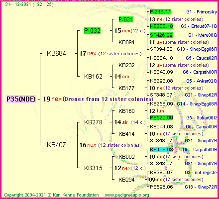 Pedigree of P35(NDE) :
four generations presented
it's temporarily unavailable, sorry!