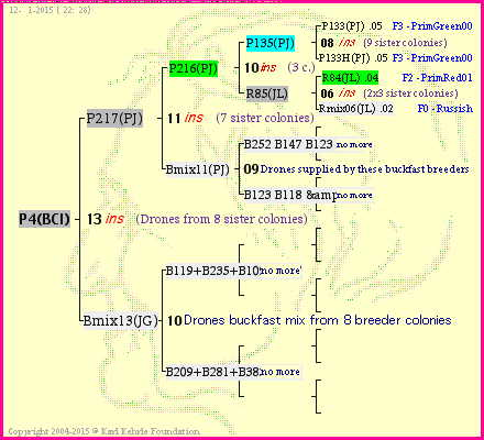 Pedigree of P4(BCI) :
four generations presented