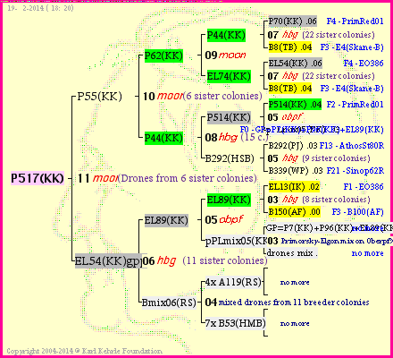 Pedigree of P517(KK) :
four generations presented