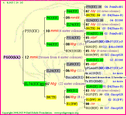 Pedigree of P600(KK) :
four generations presented