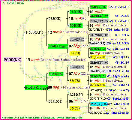 Pedigree of P600(KK) :
four generations presented