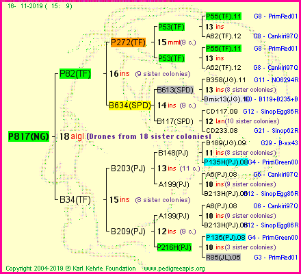 Pedigree of P817(NG) :
four generations presented<br />it's temporarily unavailable, sorry!