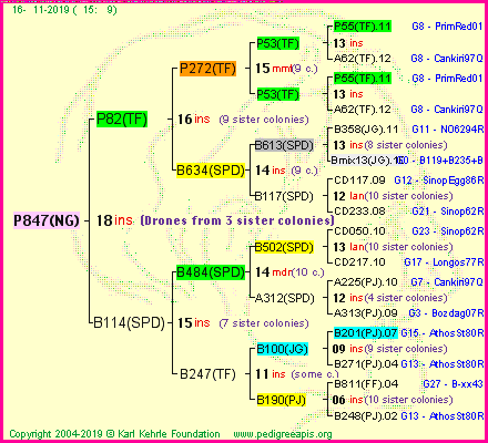 Pedigree of P847(NG) :
four generations presented<br />it's temporarily unavailable, sorry!