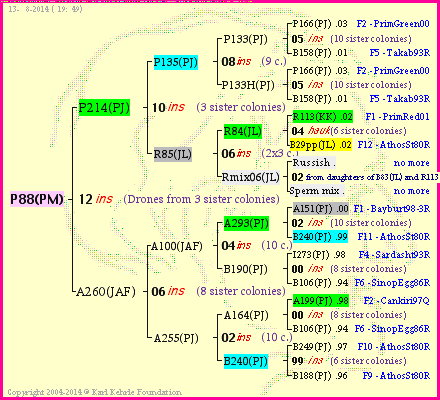 Pedigree of P88(PM) :
four generations presented