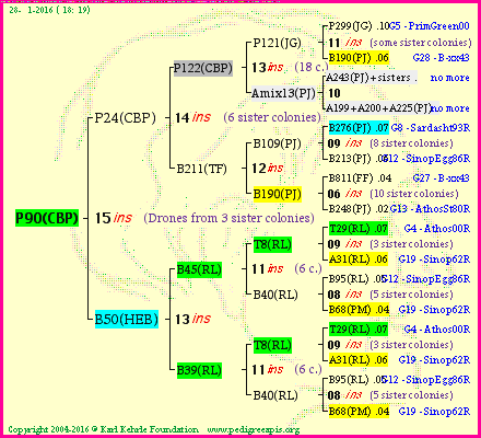 Pedigree of P90(CBP) :
four generations presented