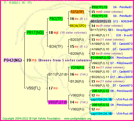 Pedigree of P942(NG) :
four generations presented
it's temporarily unavailable, sorry!