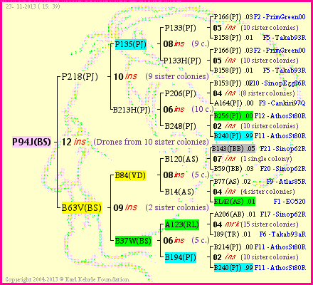 Pedigree of P94J(BS) :
four generations presented