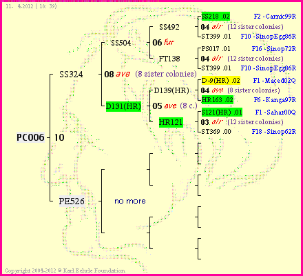 Pedigree of PC006 :
four generations presented