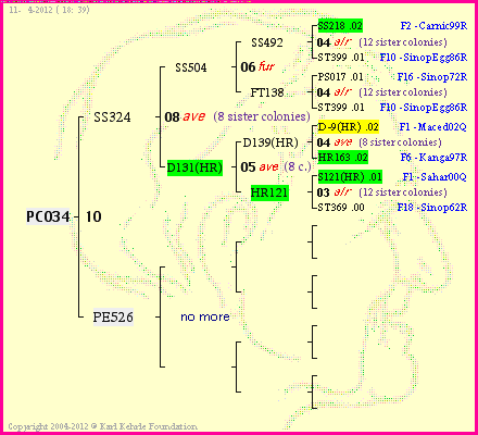 Pedigree of PC034 :
four generations presented