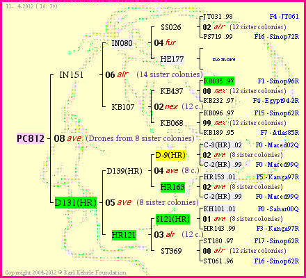 Pedigree of PC812 :
four generations presented