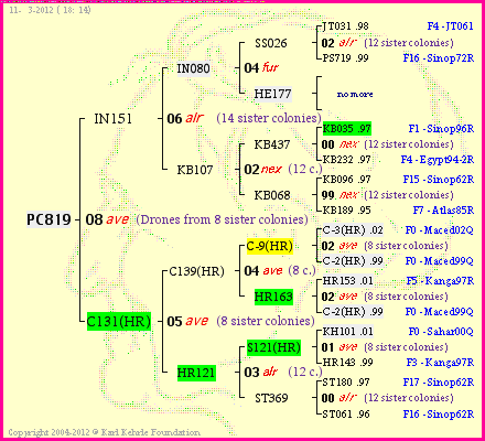 Pedigree of PC819 :
four generations presented