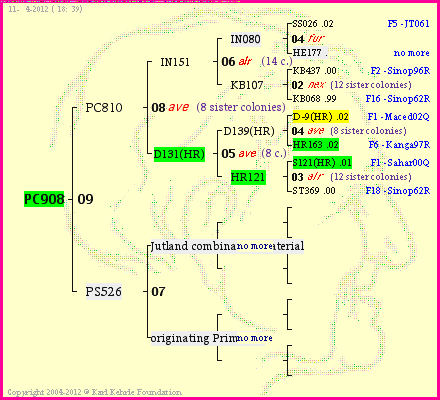 Pedigree of PC908 :
four generations presented