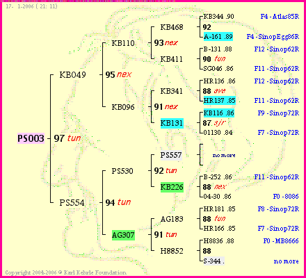 Pedigree of PS003 :
four generations presented