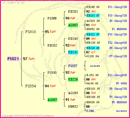 Pedigree of PS021 :
four generations presented