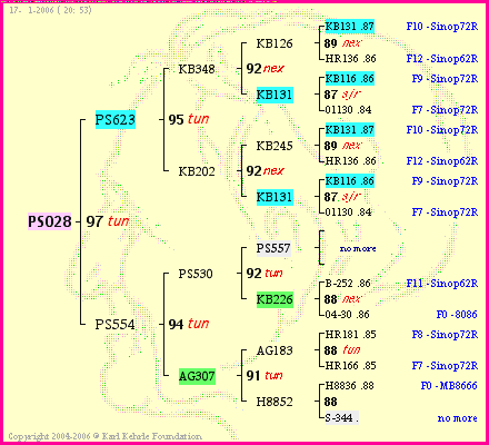 Pedigree of PS028 :
four generations presented
it's temporarily unavailable, sorry!