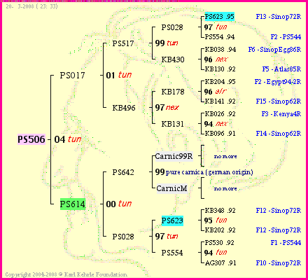 Pedigree of PS506 :
four generations presented