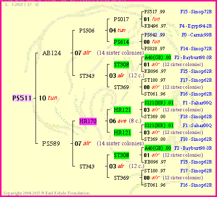 Pedigree of PS511 :
four generations presented