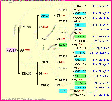 Pedigree of PS517 :
four generations presented