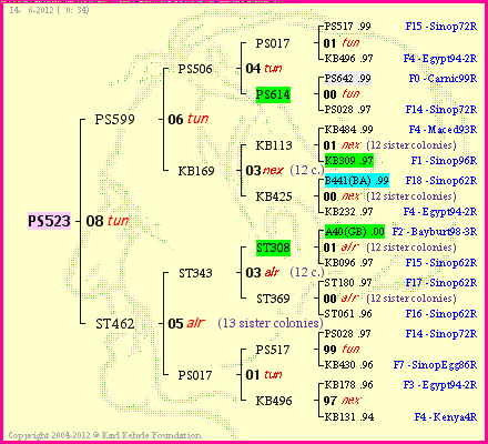 Pedigree of PS523 :
four generations presented