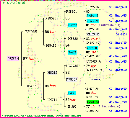 Pedigree of PS524 :
four generations presented