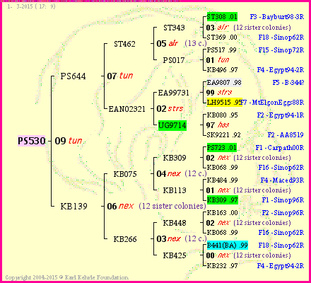 Pedigree of PS530 :
four generations presented