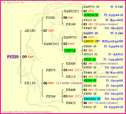 Pedigree of PS539 :
four generations presented