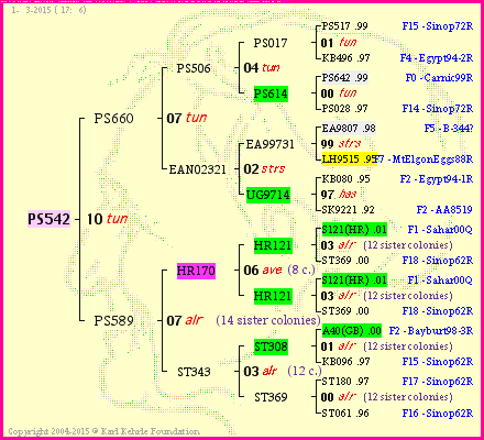 Pedigree of PS542 :
four generations presented