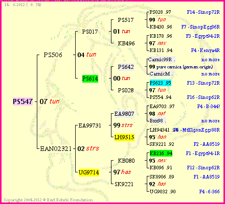 Pedigree of PS547 :
four generations presented