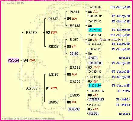 Pedigree of PS554 :
four generations presented
it's temporarily unavailable, sorry!