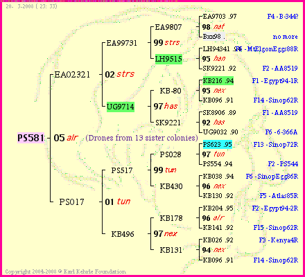 Pedigree of PS581 :
four generations presented