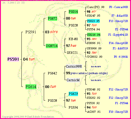 Pedigree of PS591 :
four generations presented