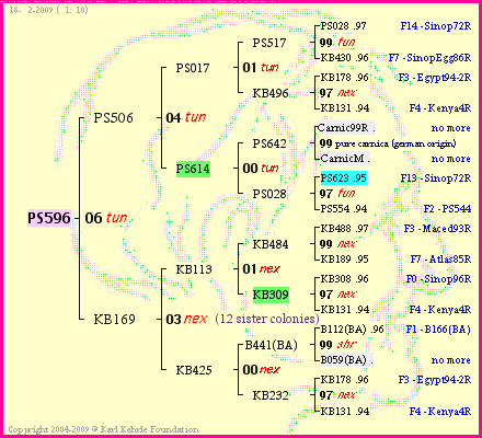 Pedigree of PS596 :
four generations presented