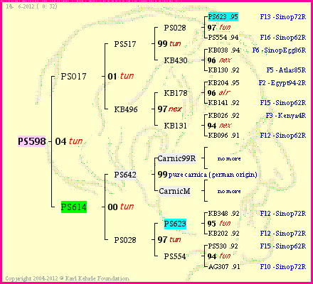 Pedigree of PS598 :
four generations presented