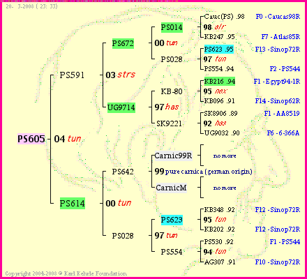 Pedigree of PS605 :
four generations presented