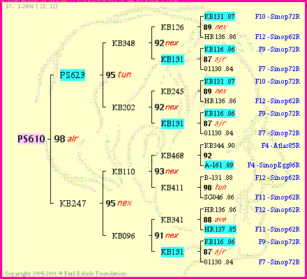 Pedigree of PS610 :
four generations presented