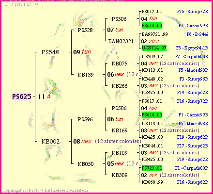 Pedigree of PS625 :
four generations presented