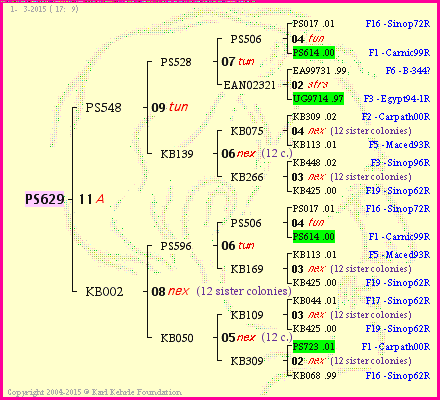 Pedigree of PS629 :
four generations presented