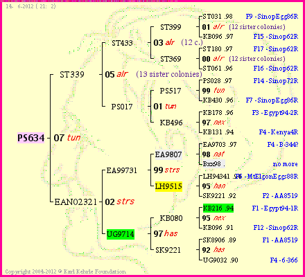 Pedigree of PS634 :
four generations presented