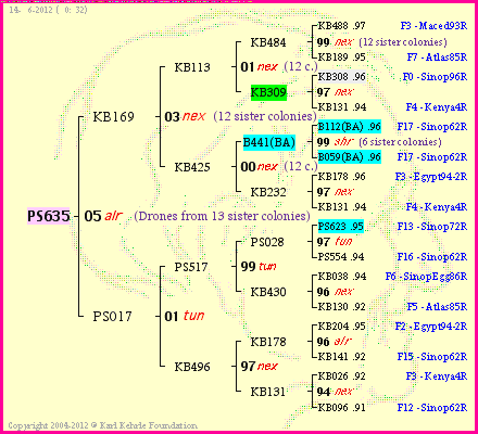 Pedigree of PS635 :
four generations presented