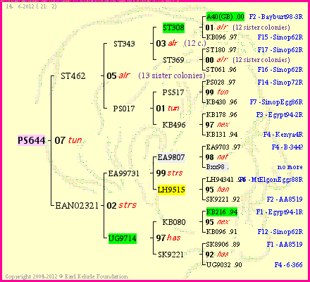 Pedigree of PS644 :
four generations presented