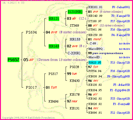 Pedigree of PS657 :
four generations presented