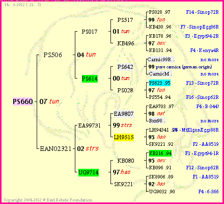 Pedigree of PS660 :
four generations presented