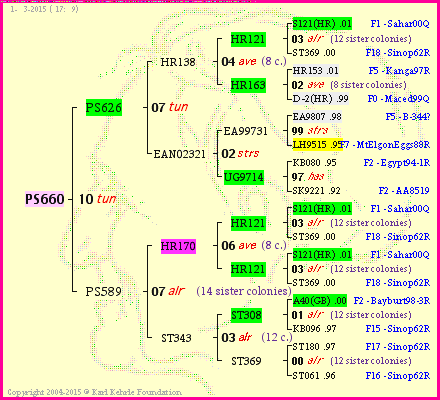 Pedigree of PS660 :
four generations presented