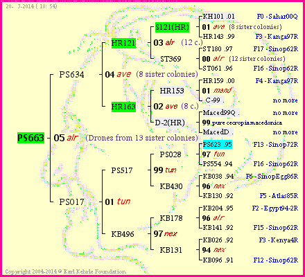 Pedigree of PS663 :
four generations presented