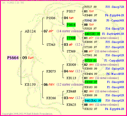 Pedigree of PS664 :
four generations presented